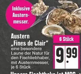 E-Center Austern „fines de clair“ Angebot