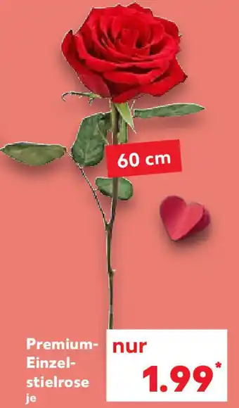 Kaufland Premium Einzelstielrose 60 cm Angebot