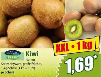 Norma Kiwi 1 kg Angebot