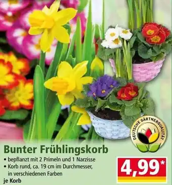 Norma Bunter Frühlingskorb Angebot