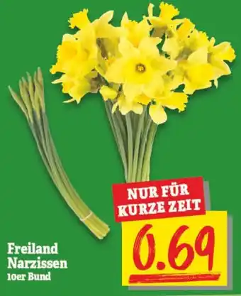 NP Discount Freiland Narzissen Angebot