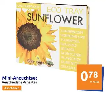 Action Mini Anzuchtset Angebot