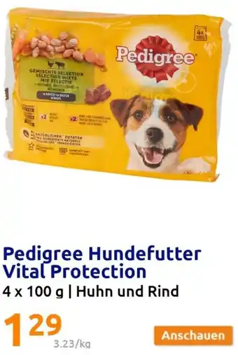 Action Pedigree Hundefutter Vital Protection 4x100 g Angebot