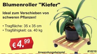 Stabilo Fachmarkt Blumenroller Kiefer Angebot
