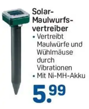 Rossmann Solar Maulwurfsvertreiber Angebot