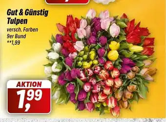 Simmel Tulpen 9st Angebot