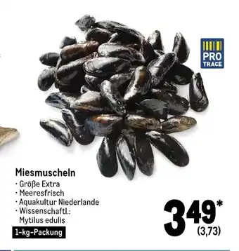 METRO Miesmuscheln 1kg Angebot