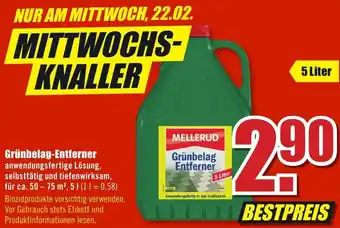 B1 Discount Baumarkt Mellerud Grünbelag Entferner 5 Liter Angebot