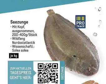 METRO Seezunge Angebot