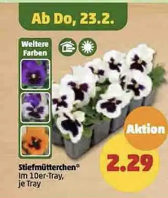 PENNY Stiefmütterchen Angebot