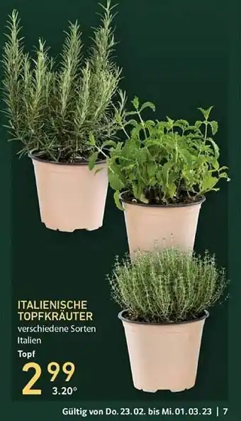 Selgros Italienische topfkräuter Angebot