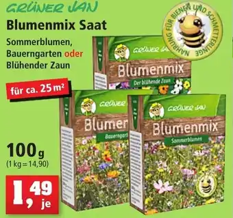 Thomas Philipps Grüner Jan Blumenmix Saat 100 g Angebot