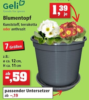 Thomas Philipps Geli Blumentopf Angebot