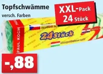 Thomas Philipps Topfschwämme XXL Pack 24 Stück Angebot