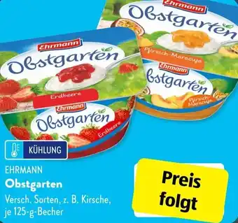 Aldi Süd Ehrmann Obstgarten 125 g Becher Angebot