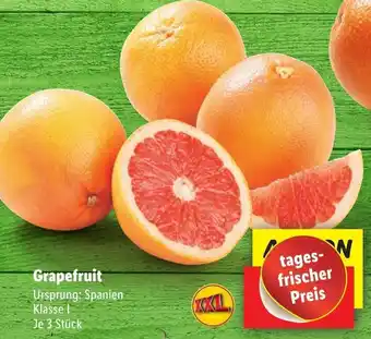 Lidl Grapefruit 3 Stück Angebot