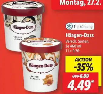 Lidl Häagen Dazs 460 ml Angebot