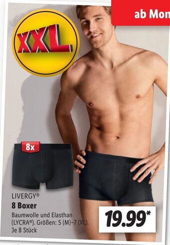 Lidl Livergy 8 Boxer Angebot