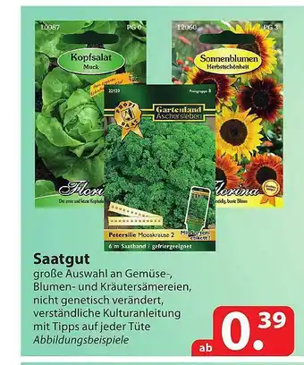 Famila Nord Ost Saatgut Angebot