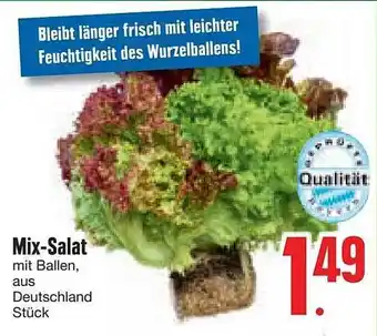 Edeka Mix-salat Angebot