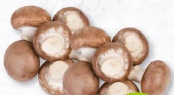 Nah & Frisch Kulturchampignons Angebot