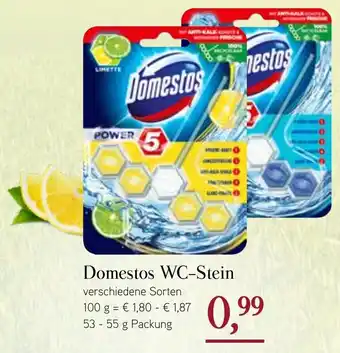 Dornseifer Domestos WC Stein 53-55g Angebot