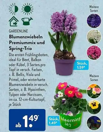 Aldi Süd Gardenline blumenzwiebeln premiummix und spring-trio Angebot