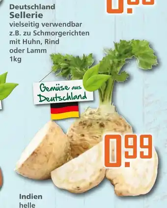 Klaas und Kock Deutschland Sellerie 1kg Angebot