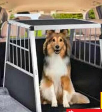 Netto Marken-Discount Alu-Hundetransportbox Angebot