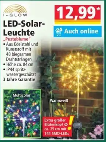 Norma I-Glow LED Solarleuchte Pusteblume Angebot