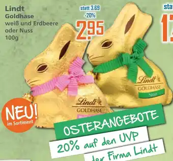 Klaas und Kock Lindt Goldhase 100g Angebot