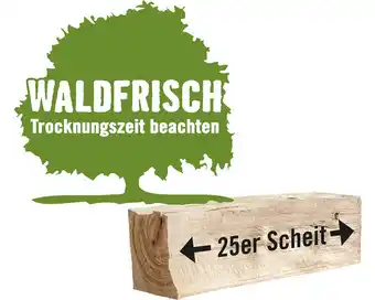 Hornbach Kaminholz brennholz buche lose 1 schüttraummeter 22-25 cm, waldfrisch Angebot