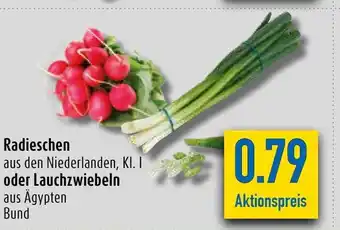 diska Radieschen o. Lauchzwiebeln Angebot