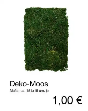 Deko Moos Angebot bei KiK