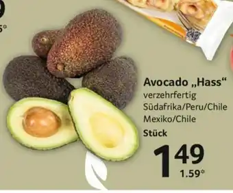 Selgros Avocado Hass Angebot