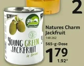 Selgros Natures Charm Jackfruit 565g Angebot