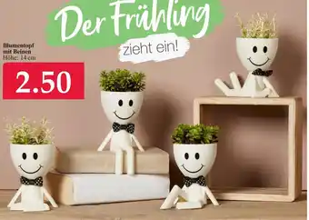 Woolworth Blumentopf mit Beinen Angebot