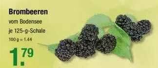 V Markt Brombeeren Angebot