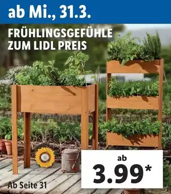 Lidl Frühlingsgefühle Zum Lidl Preis Angebot