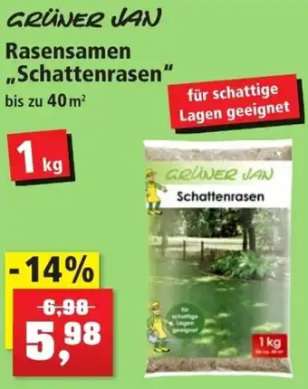 Thomas Philipps Grüner Jan Rasensamen ,,Schattenrasen" 1 kg Angebot