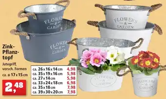 Thomas Philipps Zink Pflanztopf Angebot