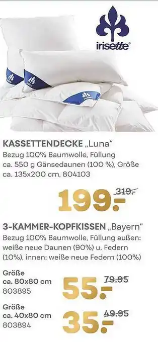 Möbel Kraft Kassettendecke Angebot