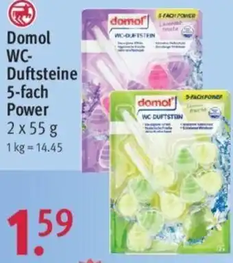 Rossmann Domol WC Duftsteine 5-fach Power 2x55 g Angebot