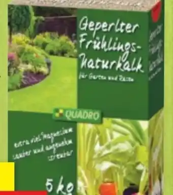 Thomas Philipps Geperlter frühlings-naturkalk Angebot