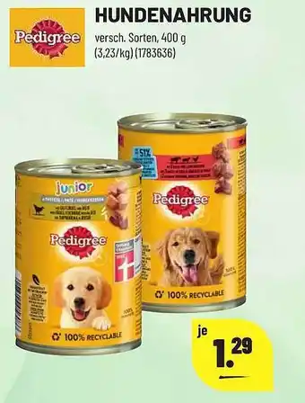 Leitermann Baumarkt Pedigree hundenahrung Angebot