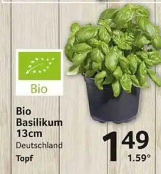 Selgros Bio basilikum Angebot