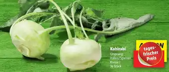 Lidl Kohlrabi Angebot