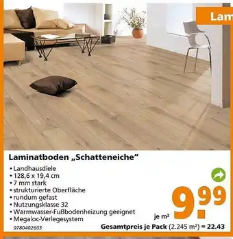 Globus Baumarkt Laminatboden „schatteneiche“ Angebot