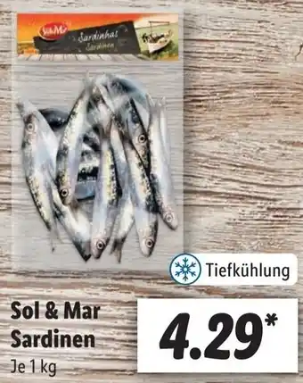 Lidl Sol & Mar Sardinen 1 kg Angebot