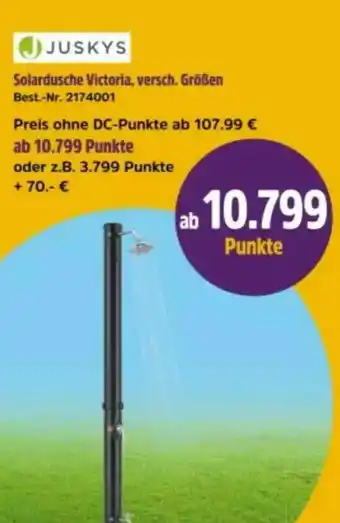 Netto Marken-Discount Juskys Solardusche Victoria Angebot